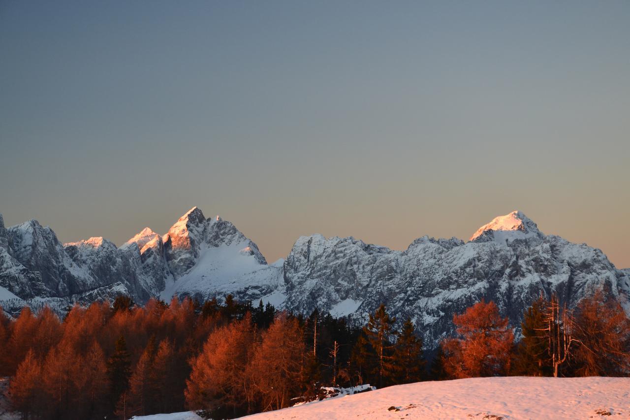 Apartment Leposa Kranjska Gora Zewnętrze zdjęcie